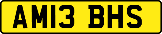 AM13BHS