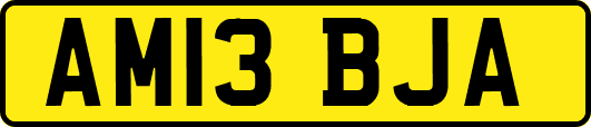 AM13BJA