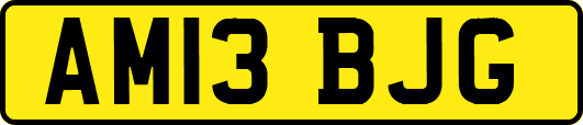 AM13BJG