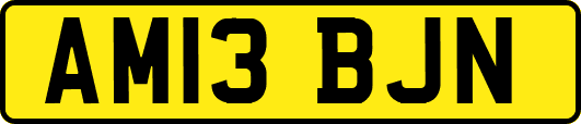 AM13BJN