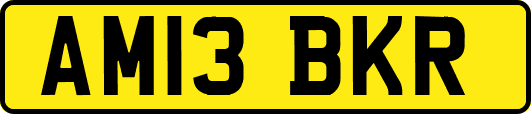 AM13BKR