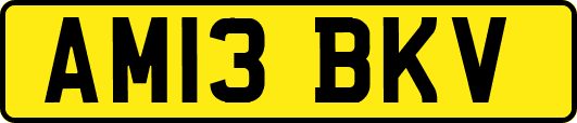 AM13BKV