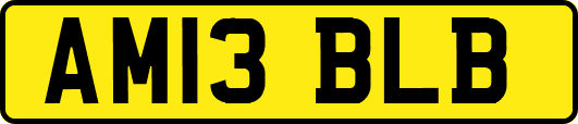 AM13BLB