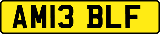 AM13BLF