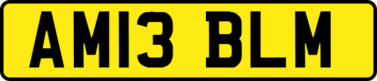 AM13BLM