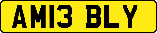 AM13BLY