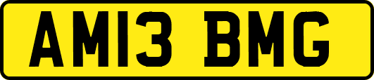 AM13BMG