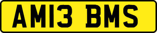 AM13BMS