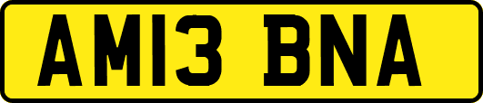 AM13BNA