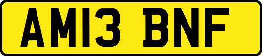 AM13BNF