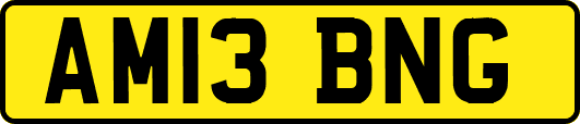 AM13BNG