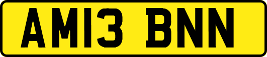 AM13BNN