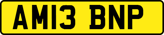 AM13BNP