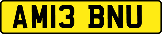AM13BNU