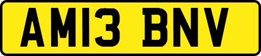 AM13BNV