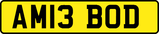 AM13BOD