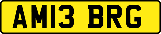AM13BRG