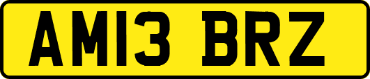 AM13BRZ