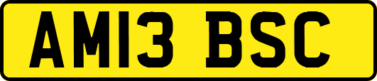 AM13BSC