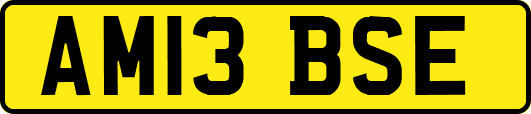 AM13BSE