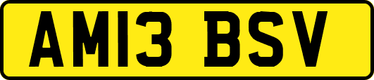AM13BSV