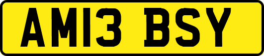 AM13BSY