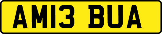 AM13BUA