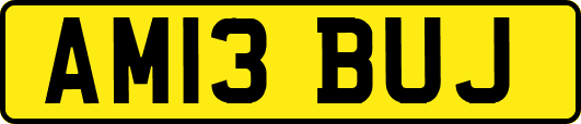 AM13BUJ
