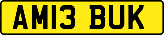 AM13BUK