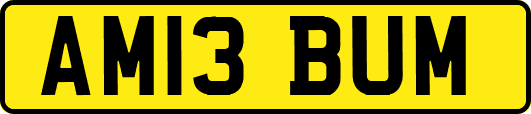 AM13BUM