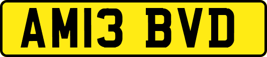 AM13BVD