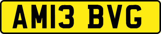 AM13BVG