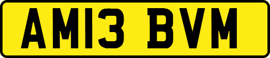 AM13BVM