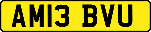 AM13BVU