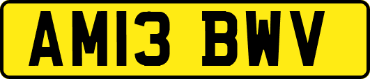AM13BWV