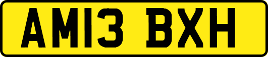 AM13BXH