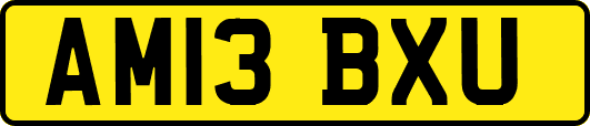AM13BXU