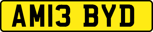 AM13BYD