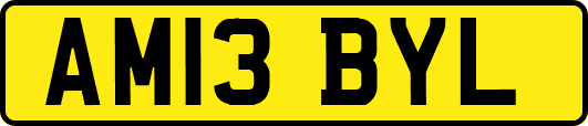 AM13BYL