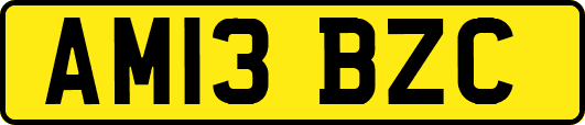 AM13BZC