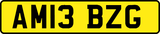 AM13BZG