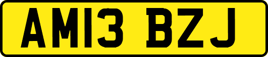 AM13BZJ