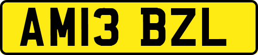 AM13BZL
