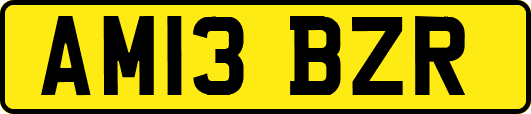 AM13BZR