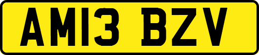 AM13BZV