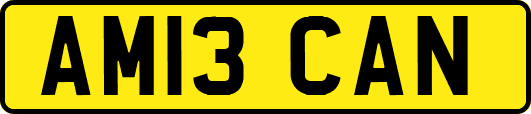 AM13CAN