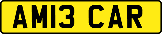 AM13CAR