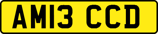 AM13CCD