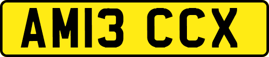 AM13CCX