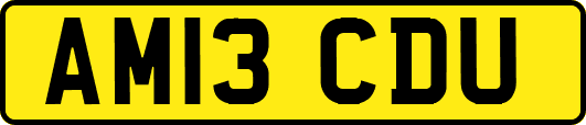 AM13CDU